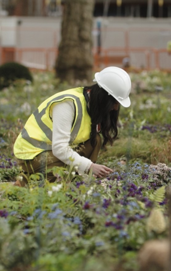 Community member planting flowers