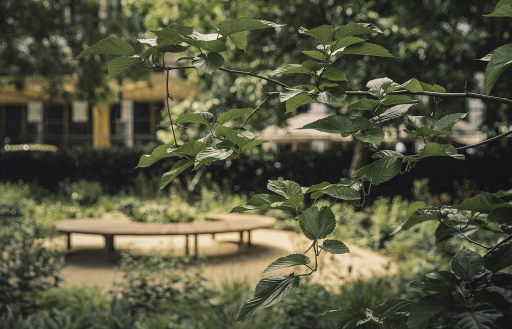 Bench in grosvenor square